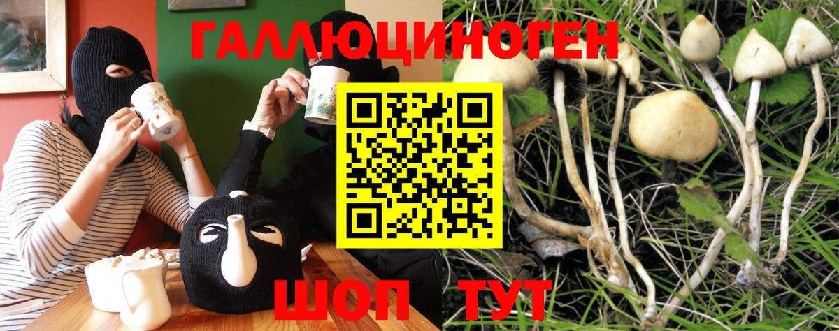 Галлюциногенные грибы мухоморы  Вход с VPN  Дербент 